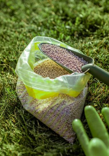 Fertiliser industry